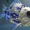 瑞士研究人員建造了一種其他魚類將遵循的機(jī)器魚