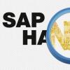 SAP HANA必須消除對許可和技能的擔(dān)憂