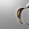蒂姆庫克 Apple不想要你的數據