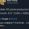 華為Mate40的屏幕將于本月開(kāi)始生產(chǎn)