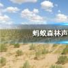 螞蟻莊園生活問(wèn)答：螞蟻森林聲明說(shuō)了什么
