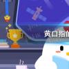 螞蟻莊園生活問(wèn)答：黃口指的是什么