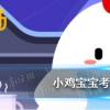 螞蟻莊園生活問(wèn)答：小雞寶寶考考你瓜子的脂肪含量很高所以吃瓜子相當(dāng)于喝油這個(gè)說(shuō)法