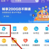 進(jìn)入攜號入網(wǎng)頁面之后用戶需要輸入手機(jī)號進(jìn)行核驗(yàn)
