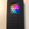 Apple Watch 原型與安全保護(hù)殼并排放置