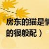 房東的貓是情侶嗎（同在一個相框里的兩人真的很般配）