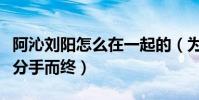 阿沁劉陽(yáng)怎么在一起的(為什么五年戀情最終分手而終)