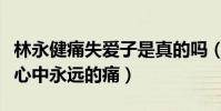 林永健痛失愛(ài)子是真的嗎(這個(gè)孩子是林永健心中永遠(yuǎn)的痛)