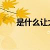 是什么讓大海出錯(cuò)的故事的主要內(nèi)容
