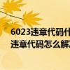 6023違章代碼什么意思（7313違章代碼是什么意思 7313違章代碼怎么解決）