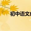 初中語(yǔ)文成績(jī)?nèi)绾胃倪M(jìn)語(yǔ)文學(xué)習(xí)方法