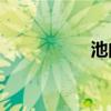 池的激進是心底的嗎？