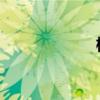 模糊與含糊的區(qū)別