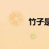 竹子是左右結(jié)構(gòu)還是單個字？