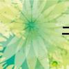 二年級填什么風(fēng)箏？