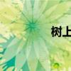 樹(shù)上的鳥(niǎo)在唱什么？填空