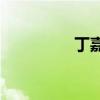 丁嘉筆下的新詞是什么？