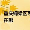 重慶銅梁區(qū)可提供雙喜電壓力鍋維修服務(wù)地址在哪