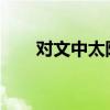 對文中太陽的主要內(nèi)容進(jìn)行簡要概括