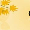 魯迅《彷徨》簡(jiǎn)介