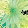 有哪些描寫春天的詩句？