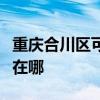 重慶合川區(qū)可提供澳柯瑪熱水器維修服務(wù)地址在哪