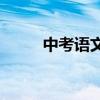 中考語文有哪些高效的學(xué)習(xí)方法？