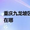 重慶九龍坡區(qū)可提供愛德電烤箱維修服務(wù)地址在哪