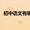 初中語文有哪些學(xué)習(xí)技巧？如何提高成績？
