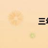 三年級(jí)用什么樹(shù)枝填空