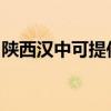陜西漢中可提供康佳榨汁機維修服務(wù)地址在哪
