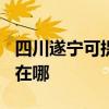 四川遂寧可提供TCL空氣凈化器維修服務(wù)地址在哪