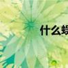什么蜈蚣是用形容詞填充的？