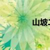 山坡二年級(jí)的補(bǔ)充句是什么