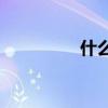 什么森林里充滿了動(dòng)詞？
