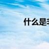 什么是非常 一年級(jí)語(yǔ)文是什么？