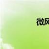 微風(fēng)吹山崗是什么意思？