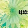 蚌埠怎么讀？你什么意思？