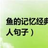 魚的記憶經(jīng)典句子感人（關(guān)于魚的記憶經(jīng)典感人句子）
