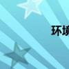 環(huán)境描寫(xiě)的作用有哪些？