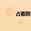 占喜鵲窩的鴿子指的是什么鳥(niǎo)？