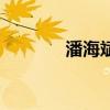潘海斌（關(guān)于潘海斌的介紹）