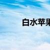 白水蘋果（關(guān)于白水蘋果的介紹）
