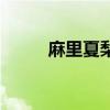 麻里夏梨（關于麻里夏梨的介紹）