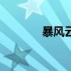暴風(fēng)云（關(guān)于暴風(fēng)云的介紹）