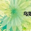 鳥姐（關(guān)于鳥姐的介紹）