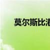 莫爾斯比港（關于莫爾斯比港的介紹）