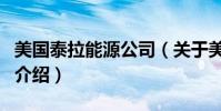 美國(guó)泰拉能源公司(關(guān)于美國(guó)泰拉能源公司的介紹)