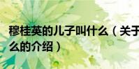 穆桂英的兒子叫什么(關(guān)于穆桂英的兒子叫什么的介紹)