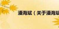 潘海斌(關(guān)于潘海斌的介紹)